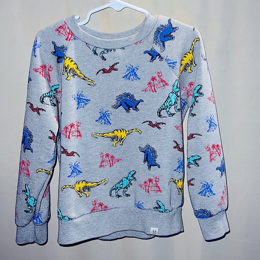 Dinosaur crewneck sweatshirt
